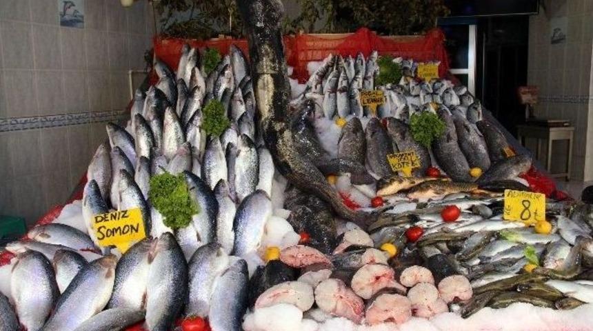 Balık&ccedil;ıların Umudu Yeni Av Sezonu