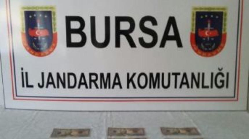 &Ccedil;evirmeyi G&ouml;r&uuml;nce Sahte Dolarları Atıp Ka&ccedil;mak Istediler