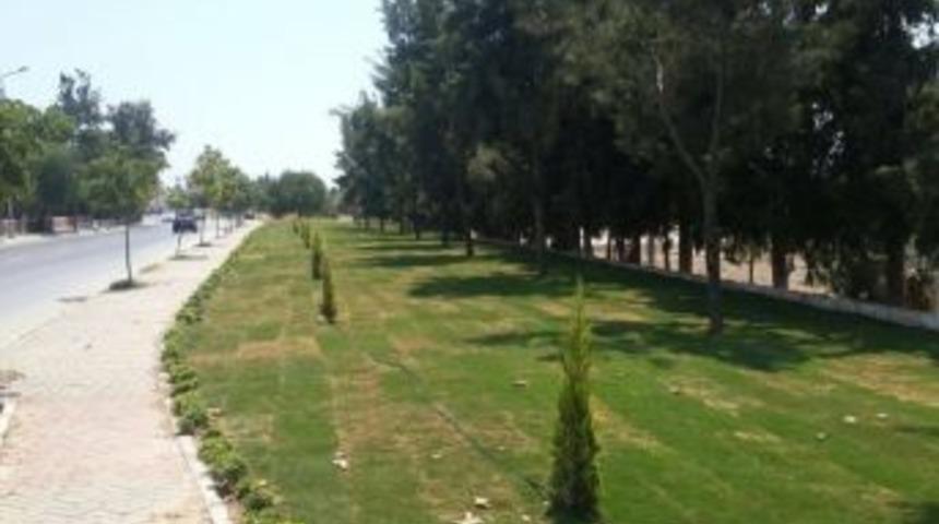 Didim Belediyesi&rsquo;nden Peyzaj Ve Yeşillendirme &Ccedil;alışması