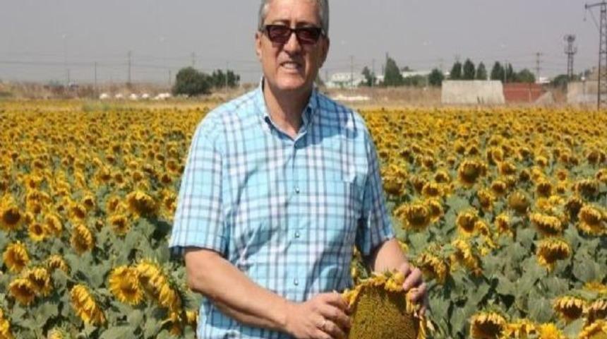 Bandırma&rsquo;da Ay&ccedil;i&ccedil;eği Ekimi Değerlendirmesi