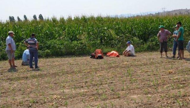 Domuzlar Için Kurulan Elektrikli Tuzak Canından Etti