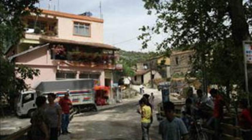 Bu ağa&ccedil; Hz. Musa'nın asası mı?