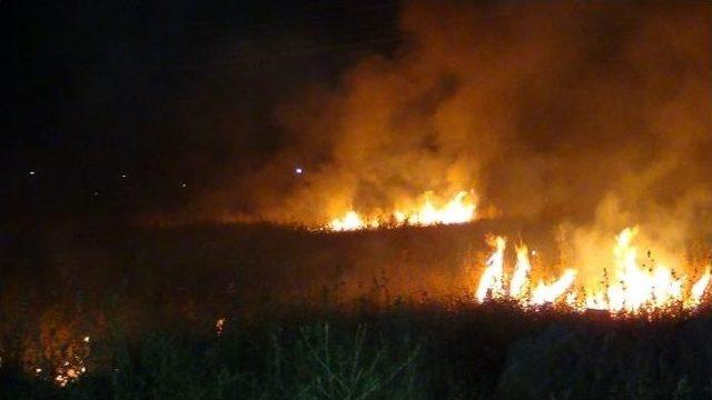 Diyarbakır’da Anız Yangını Vatandaşları Korkuttu