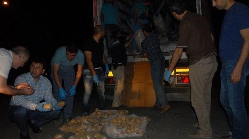 Patates &Ccedil;uvallarından 150 Kilo Eroin &Ccedil;ıktı