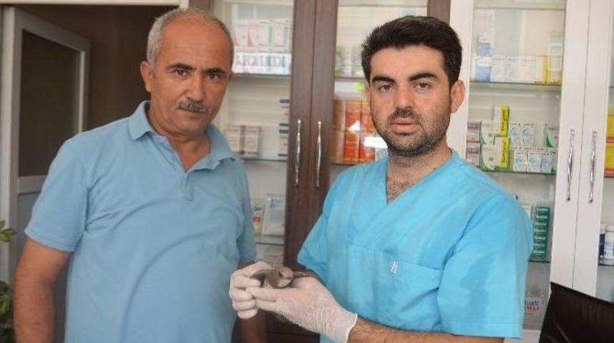 Yaralı Kuş&rsquo;a, Şefkat Eli