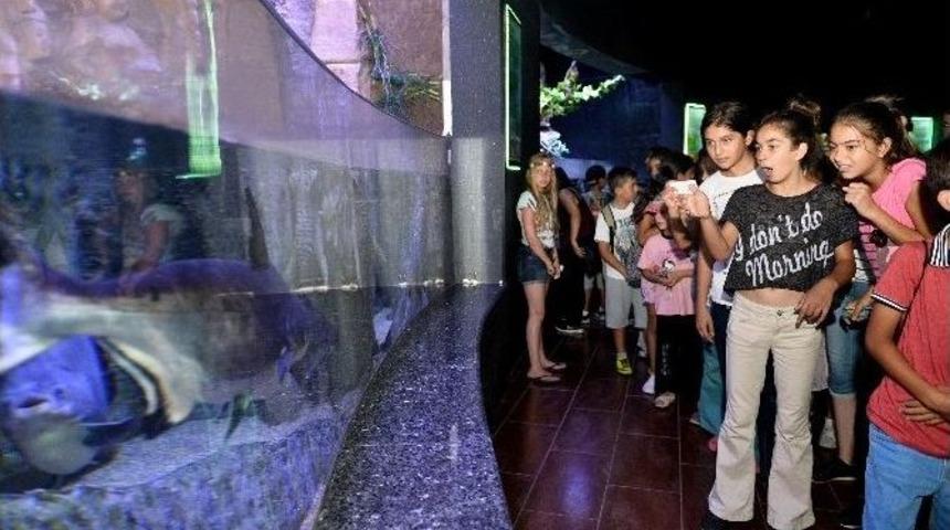 Muratpaşa&rsquo;da Ermenekli &Ouml;ğrenciler Akvaryumla Buluştu