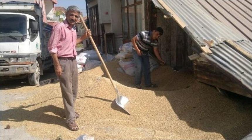 Buğdayda Rekolte Ve Kalite D&uuml;ş&uuml;k