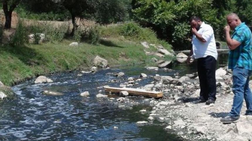 Dilovası'nda Yine Kaynağı Belirsiz Kimyasal Atık