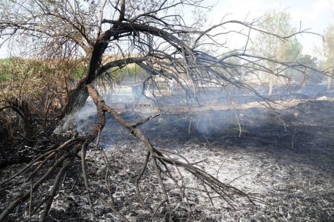 Van&rsquo;da Mezarlık, Ağa&ccedil; Ve Ot Yangını&rdquo;