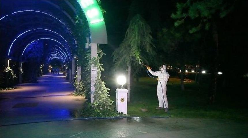 Odunpazarı Belediyesi Ağa&ccedil;ları Koruyor