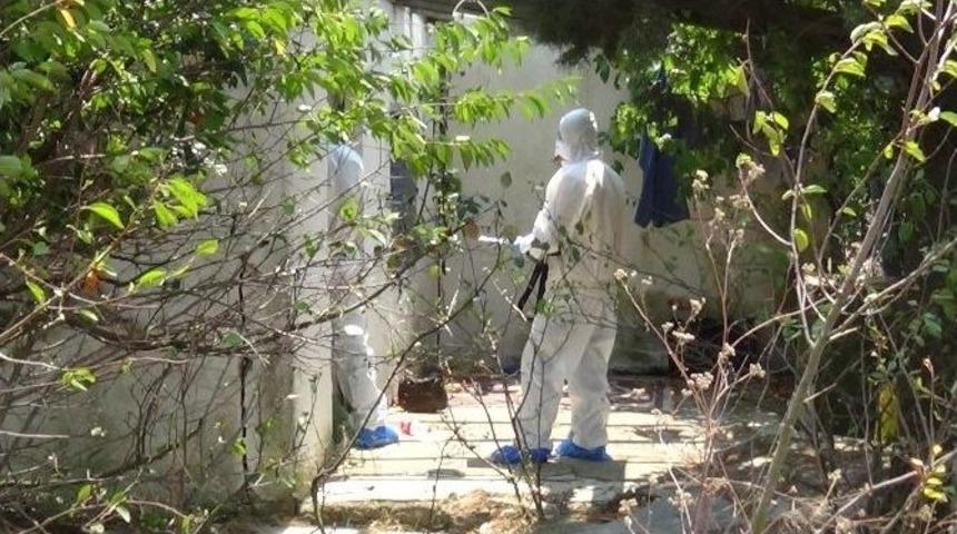 K&ouml;peğini Gezdirirken Ceset Buldu