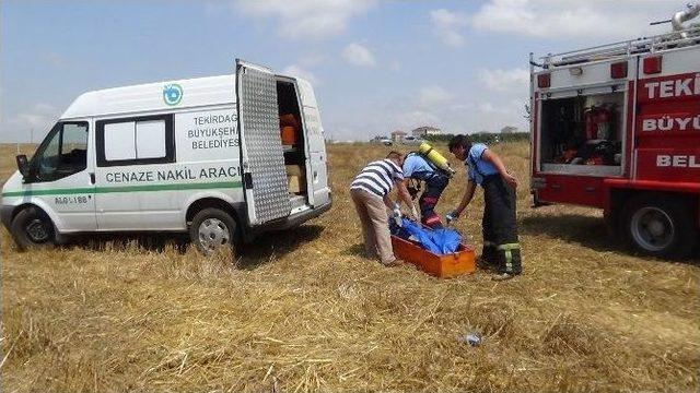 K&ouml;peğini Gezdirirken Ceset Buldu 2