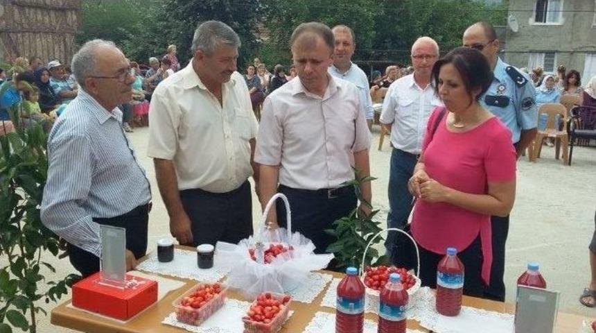 Kızılcık Şenliklerinin 12&rsquo;incisi D&uuml;zenlendi