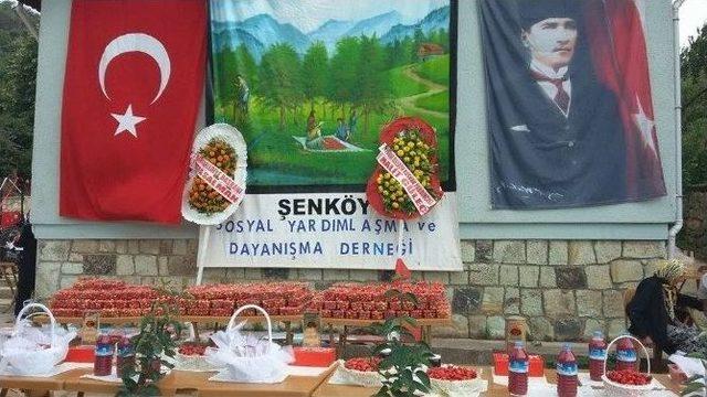 Kızılcık Şenliklerinin 12’incisi Düzenlendi