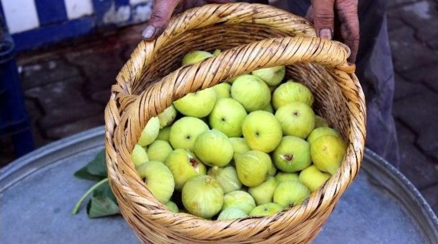 Yerli İncirin Kilosu 5 Tl&rsquo;den Satılıyor