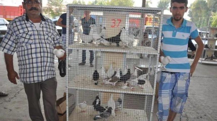 Güvencin Sevenler Her Pazar İncirliova'da Buluşuyor