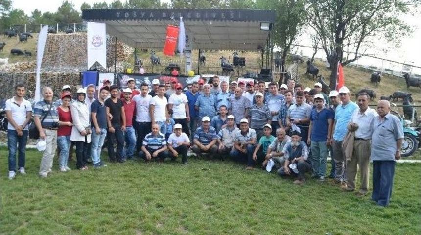 Tosya&rsquo;da 1. Motosiklet Festivali D&uuml;zenlendi