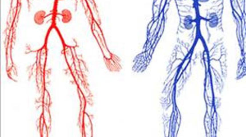 Bilmeniz gereken 10 bilimsel gerçek