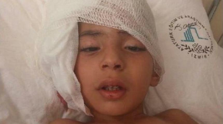 Kerem'in Kulağını Koparan K&ouml;peğin Sahibi Yakalandı