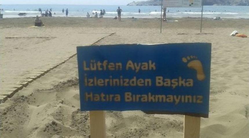 Sar&ccedil;ed&rsquo; De Mavi Bayrak Bilin&ccedil;lendirme Etkinlikleri
