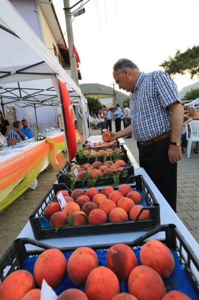 Selçuk’ta Şeftali Festivali Buruk Geçti