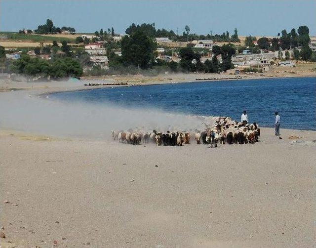 Nemrut&rsquo;an Van G&ouml;l&uuml;&rsquo;ne Uzanan Tozlu Yolculuk 2