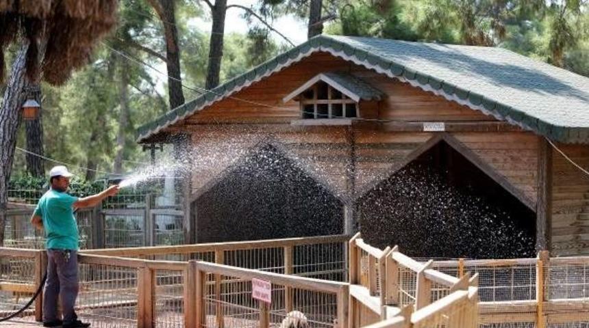 Antalya'da 'en Sıcak G&uuml;n' (3)