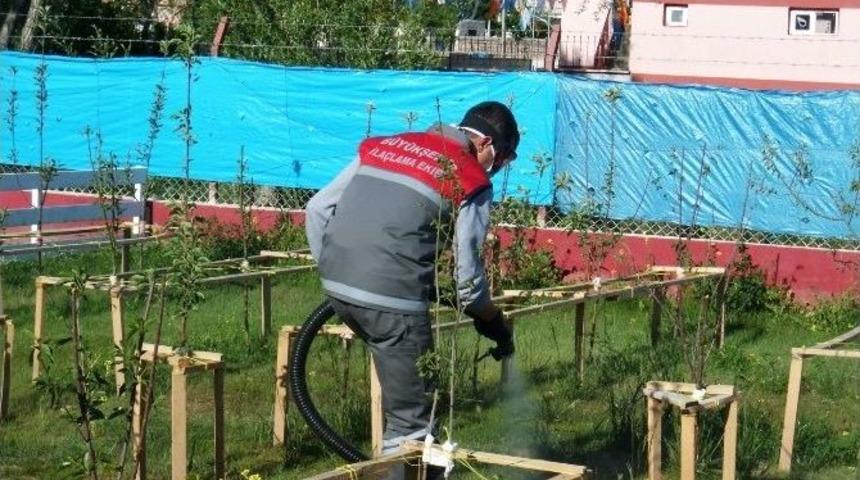 B&uuml;y&uuml;kşehir&rsquo;in &Ccedil;evre Timleri İş Başında