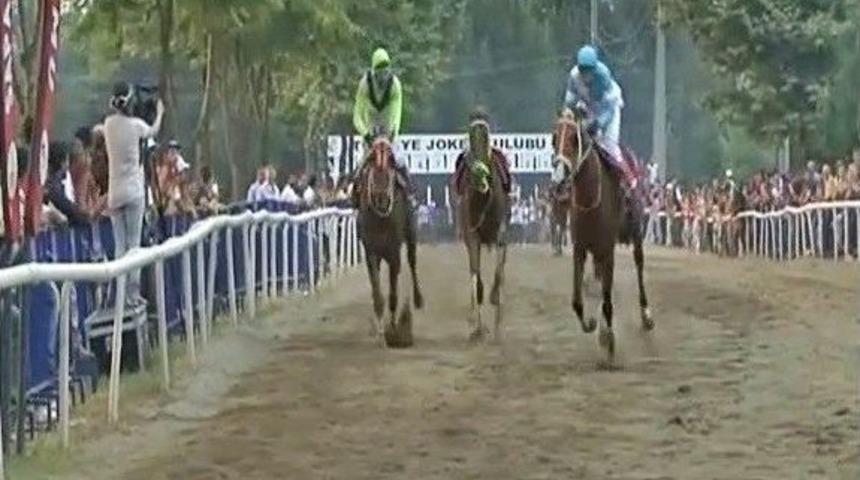 Jokeysiz Yarışan At &Uuml;&ccedil;&uuml;nc&uuml; Oldu
