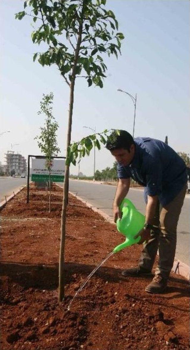Döşemealtı Turunç Ve Narenciye Kokacak 2