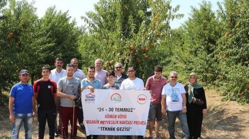 K&ouml;m&uuml;r K&ouml;y&uuml; Organik Meyvecilik Havzası Projesi Hayata Ge&ccedil;iyor