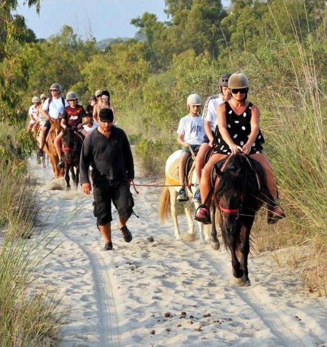 Turistlerin At Sırtında Safari Keyfi 1