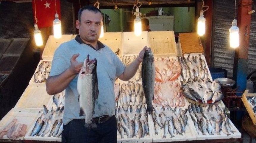 Mersinli Balık&ccedil;ılar Satışlardan Memnun