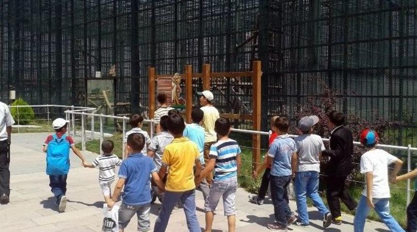 Agd Kayseri&rsquo;den Suriyeli Gen&ccedil;lere Gezi