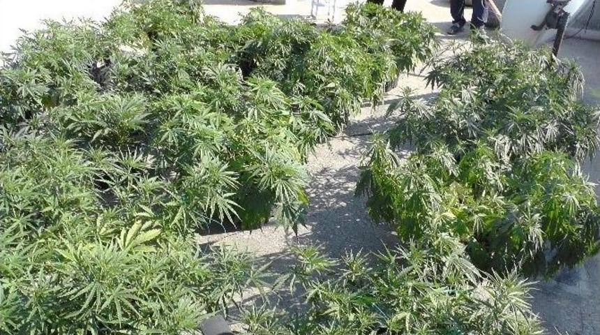 Burdur Kom&rsquo;dan Hint Keneviri Operasyonu