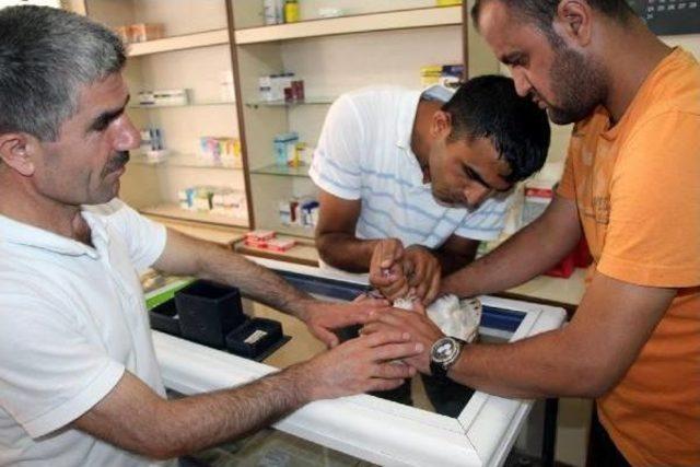 Silopili Vatandaş, Yaralı Pe&ccedil;eli Baykuşu Veterinere G&ouml;t&uuml;rd&uuml; 1