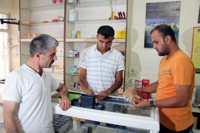 Silopili Vatandaş, Yaralı Pe&ccedil;eli Baykuşu Veterinere G&ouml;t&uuml;rd&uuml; 2
