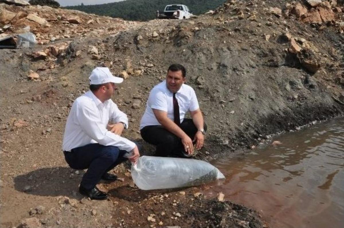 B&uuml;y&uuml;kşehir&rsquo;den G&ouml;letlere Balık