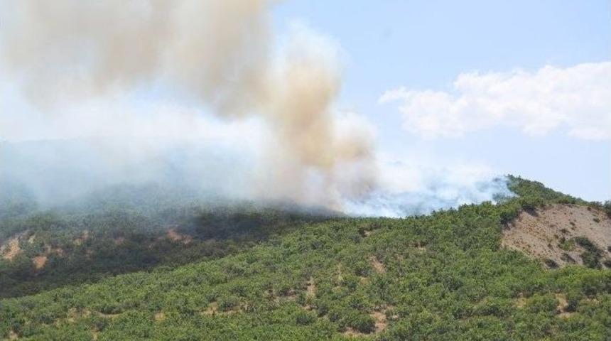 Tunceli&rsquo;de Orman Yangını