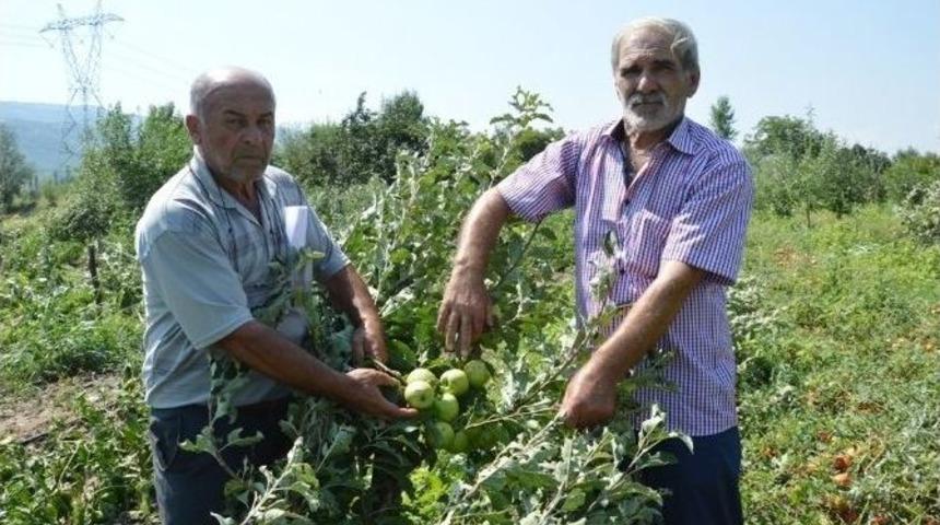 Dolu Ve Fırtına Tokatlı &Ccedil;ift&ccedil;iyi Vurdu