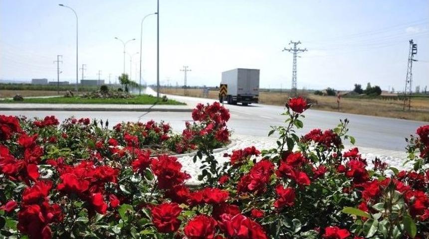 Karaman&rsquo;da &Ccedil;evre Yolları Ve Kavşaklarda Peyzaj &Ccedil;alışması