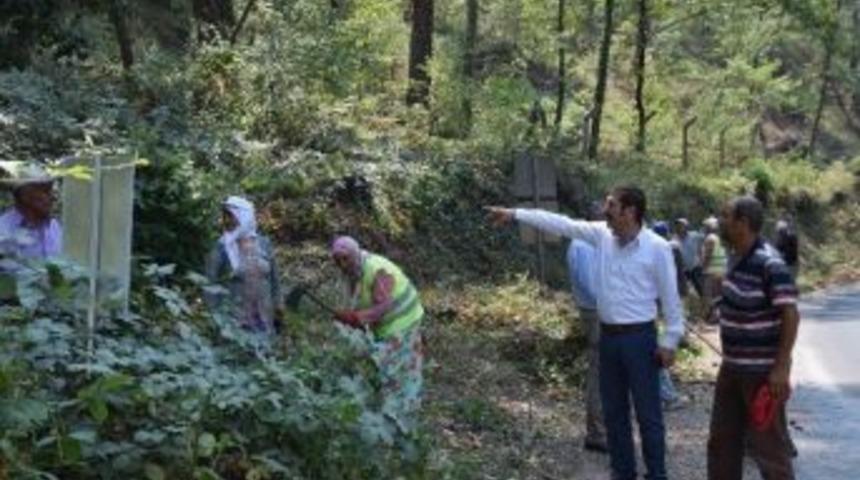 Kertil Mesire Alanında Temizlik &Ccedil;alışması Yapılıyor