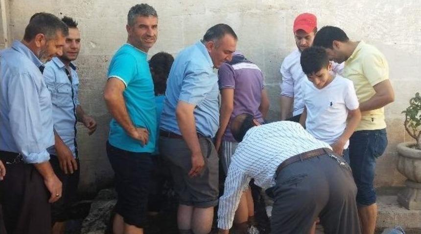 Siirt&rsquo;te Sıcaklar Kavuruyor
