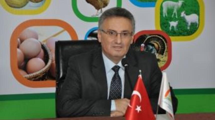 Sulama Projelerine Y&uuml;zde 50 Hibe Desteği Sağlanacak