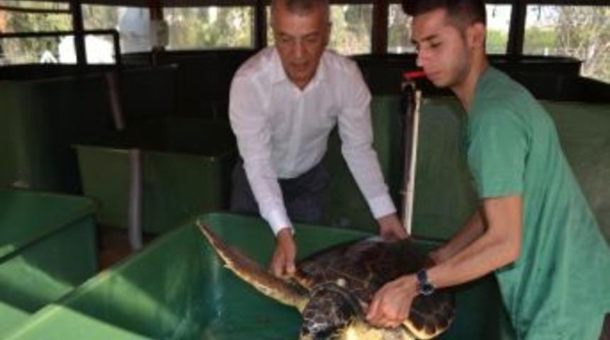 Başkan Tarhan&rsquo;dan 100. Yıl Plajı İ&ccedil;in Mersin Halkına &Ccedil;ağrı