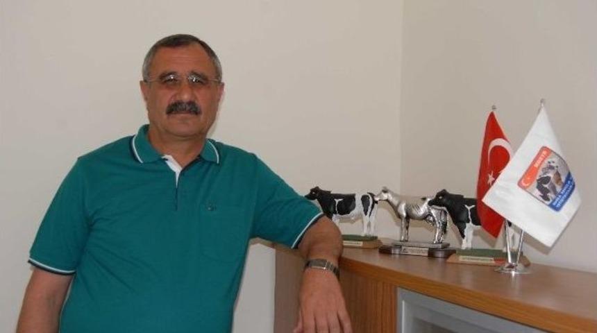 Mdsyb Kuruluşunun 20. Yılında