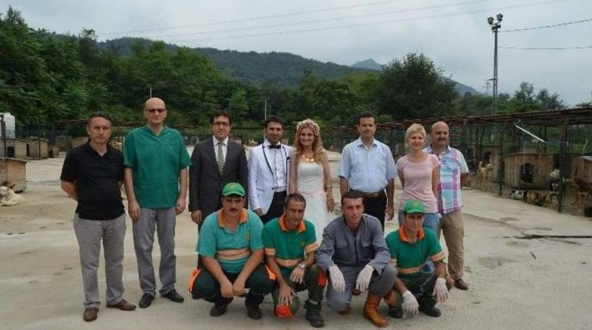 Yeni Evlenen &Ccedil;ift, D&uuml;ğ&uuml;n Fotoğrafına Verecekleri Parayı Barınakdaki Hayvanlara Bağışladı