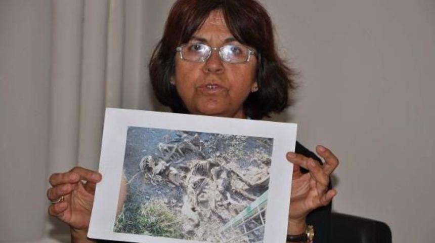 Başkan Ve Hayvan Bakımevi &Ccedil;alışanlarına Yargı Yolu A&ccedil;ıldı