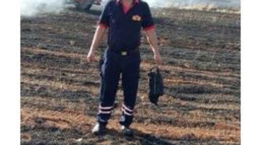 Elektrik Tellerine Temas Ederek Alev Alan Karga Yangın &Ccedil;ıkardı