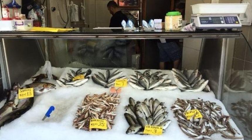 Ak&ccedil;akoca&rsquo;da Balık Fiyatları Arttı
